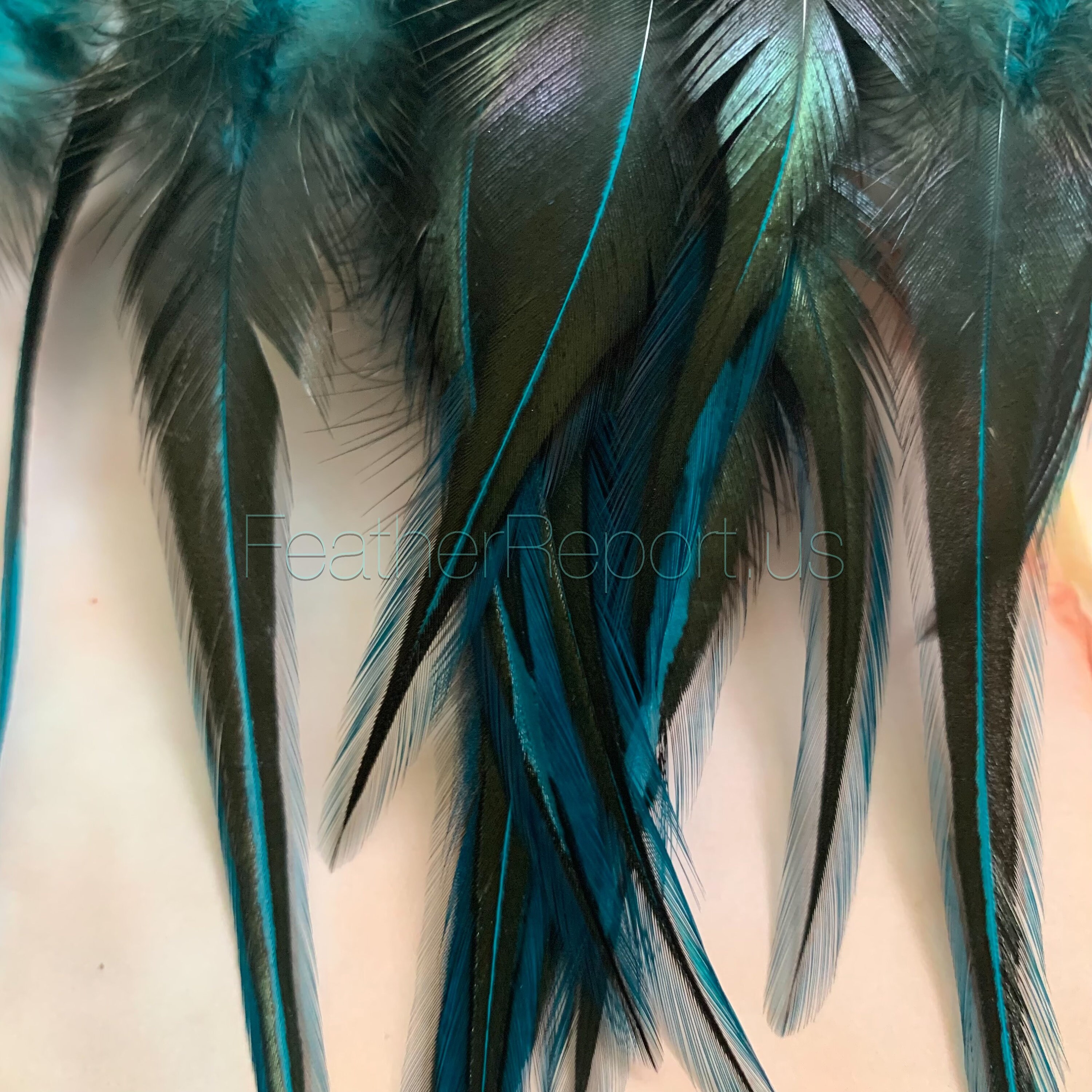 Hair Feather Kit XL Salon Extension Feathers Rooster Feathers Dyed