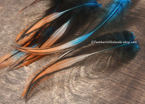 Teal Orange Crafts Feather Decorative Feathers Millinery Etsy