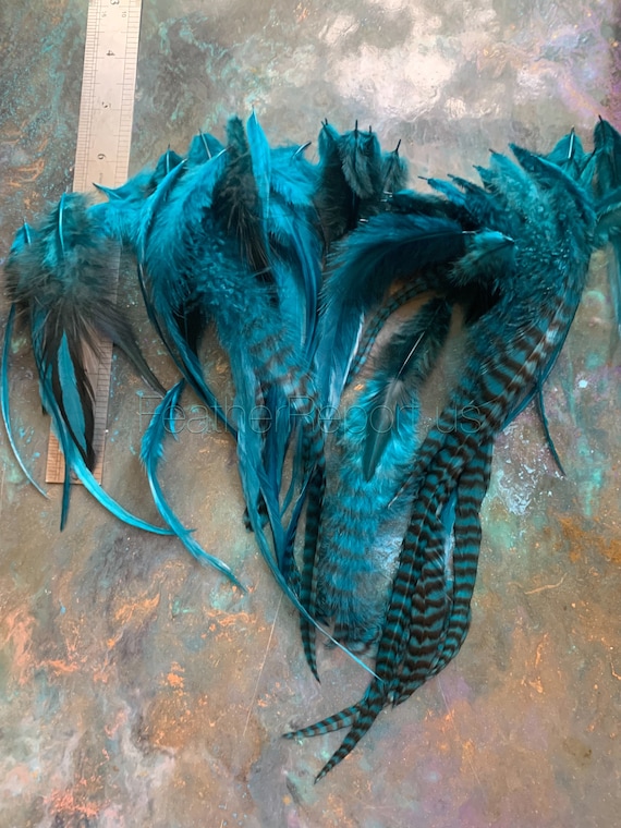 Bulk Feathers for Crafts Teal Green Blue Craft Feathers for Pet Accessories  Fishing Mobiles Haberdashery Embellishments 50 Pcs 