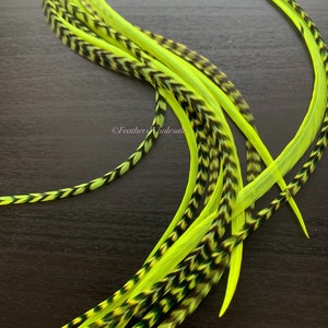 10 Long or Extra Long Chartreuse Colored Grizzly and Solid Real Rooster Feather Hair Extensions