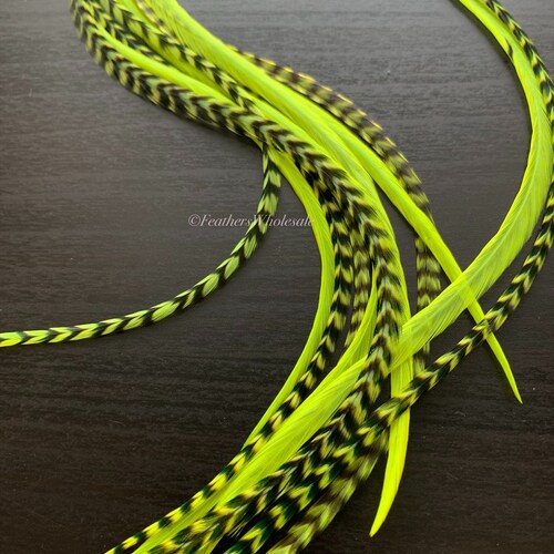 Green Hair Feathers Long Feather Hair Extensions DIY Kit With Etsy