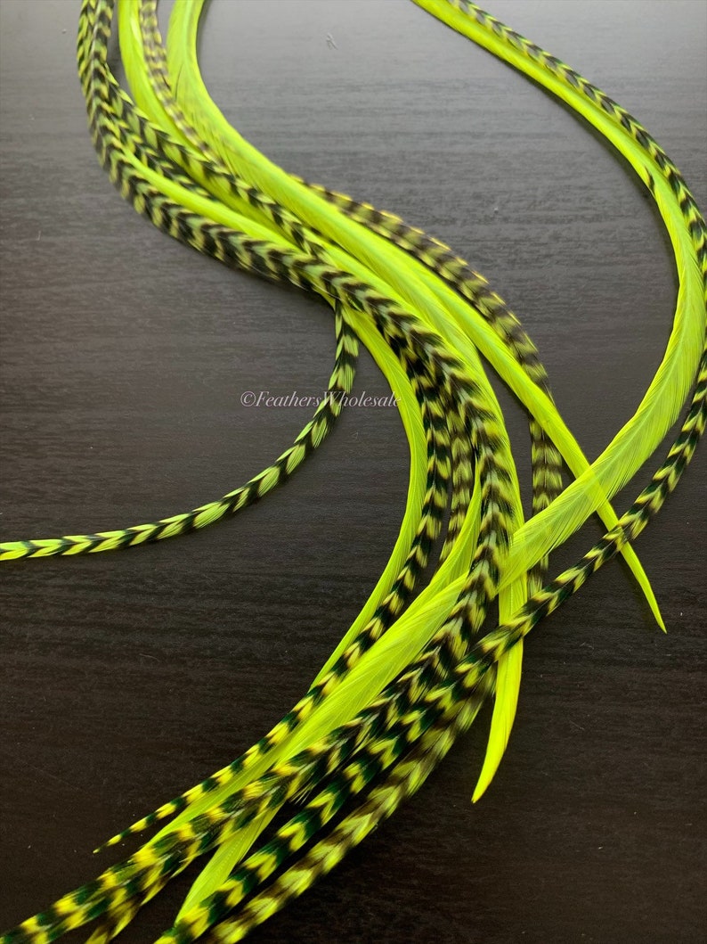 10 Long or Extra Long Chartreuse Colored Grizzly and Solid Real Rooster Feather Hair Extensions