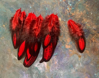 Cherry Red Craft Feathers Small Laced Hen Saddle Feather for Crafting Small Red Feathers Red and Black Feathers for Earrings