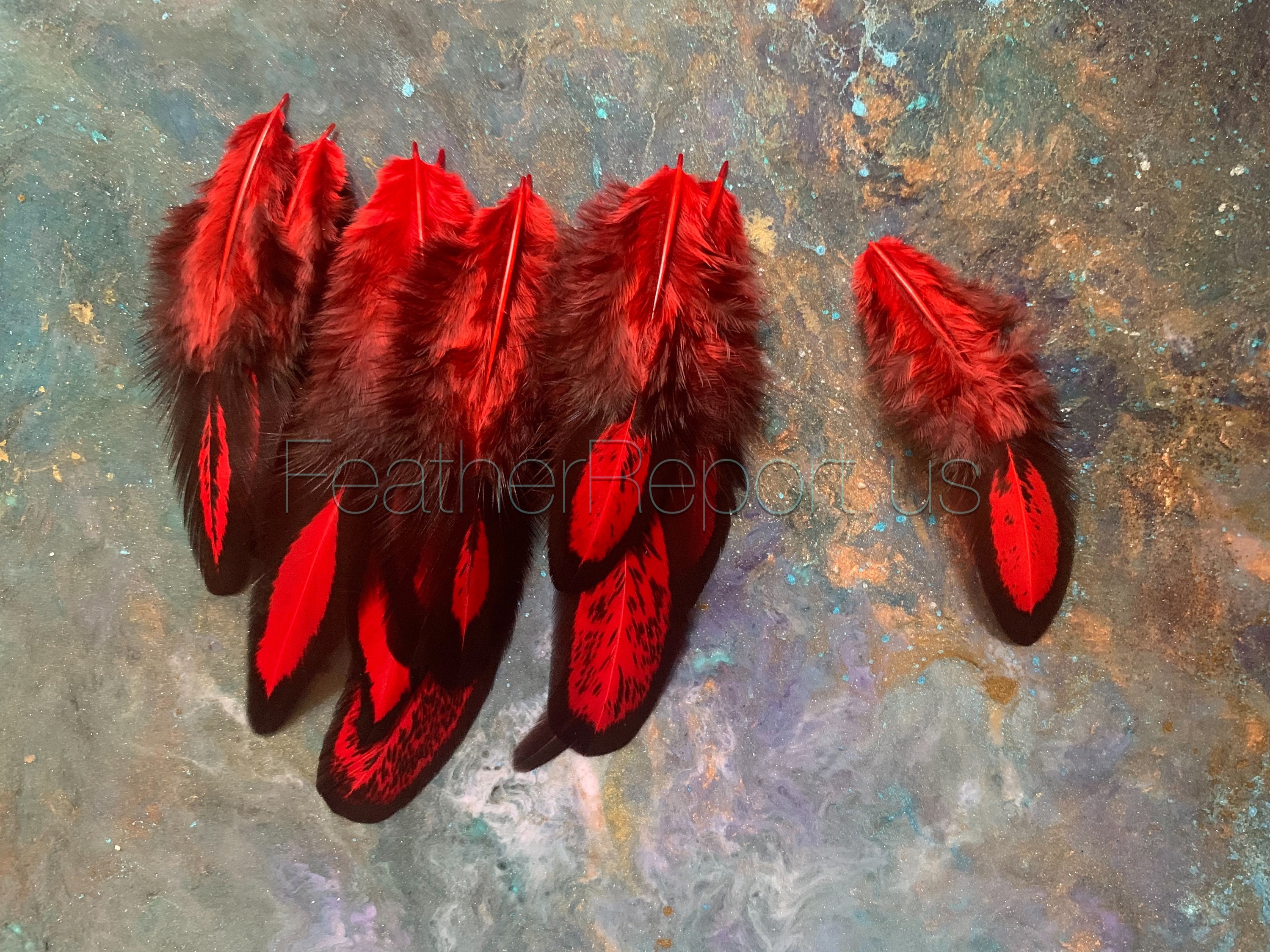 Cherry Red Craft Feathers Small Laced Hen Saddle Feather for