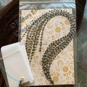 10 grizzly rooster feathers shown packaged in a polybag with 10 silicone mixed hair extension beads and floss threader and this is the 11 to 14 inch bundle pack