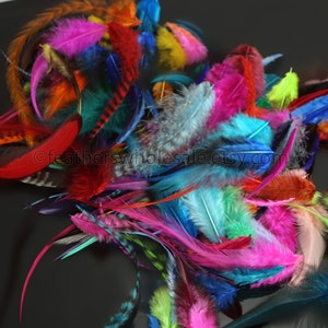 Plumas de gallo de colores Grizzly Solids, suministros para manualidades, lote a granel de plumas mixtas, esponjosas y estrechas.