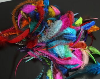 Colored Rooster Feathers Grizzly Solids Colorful Craft Supplies Bulk Lot Mixed Fluffy and Narrow Craft Feathers