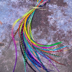 50 Real Rainbow Hair Feather Extensions Pack - Festival Hair Accessories, Bulk Salon Feathers Grizzly and Solids