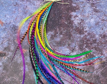 50 Real Rainbow Hair Feather Extensions Pack - Festival Hair Accessories, Bulk Salon Feathers Grizzly and Solids