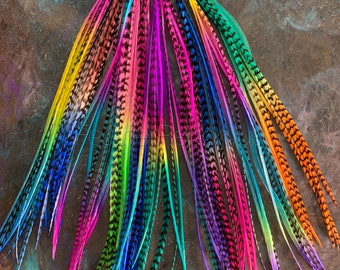 Long Rainbow Hair Feathers Wholesale Plume Feathers Extensions, Salons, Festivals & Charity Events Do it Yourself Easy to Put in