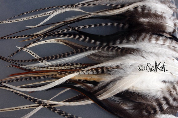 5-7 Turquoise Rooster Saddle Feathers for Crafting, Headpiece