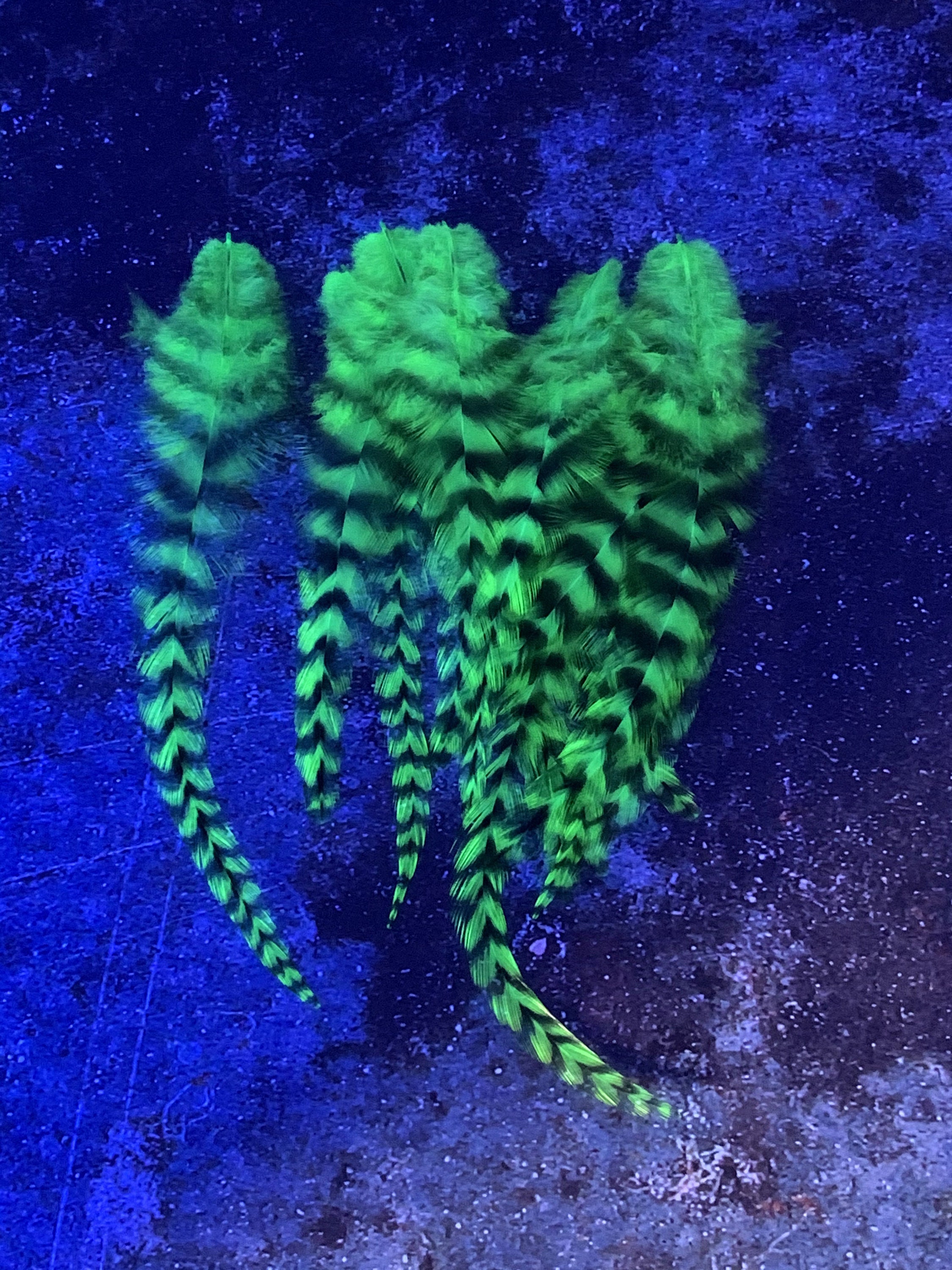 FLORESCENT GREEN SADDLE ROOSTER CRAFT HAIR FEATHER 5"-6"L 15 FLORESCENT GREEN SADDLE ROOSTER CRAFT HAIR FEATHER 5"-6"L 15