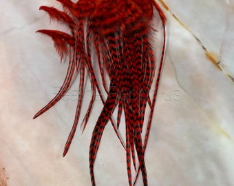 Red Grizzly Rooster Feathers Craft Feather Supplies Lollipop Red Feathers 100 Percent Real 2DOZEN