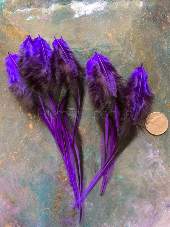 Violet Craft Feathers Purple Laced Rooster Saddle Feathers for Crafts  Decorating Purple Feathers for Earrings 12 per Pack 