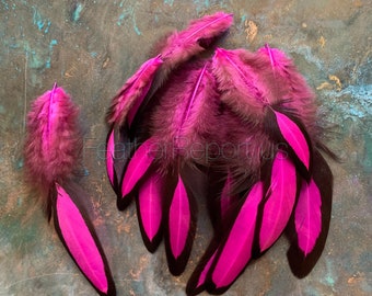 Magenta Craft Feathers Laced Hen Saddle Feathers for Crafts Dyed Deep Magenta Pink and Black Feathers Millinery Feathers Pack of 12