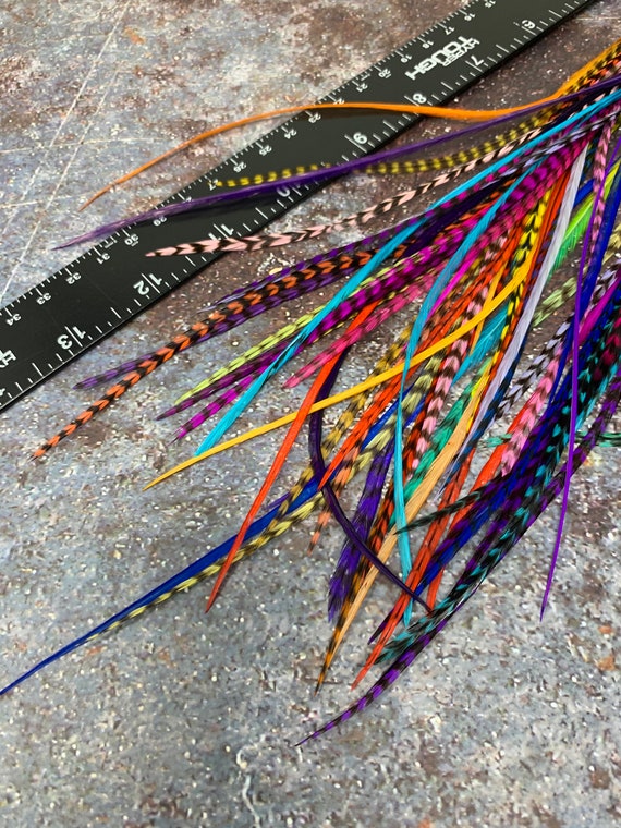 Feather Hair Accessories Bulk Hair Feathers ALL Colors Long Real Rooster Feather  Hair Extensions Bulk Feather Extensions X 50 8to14inch 