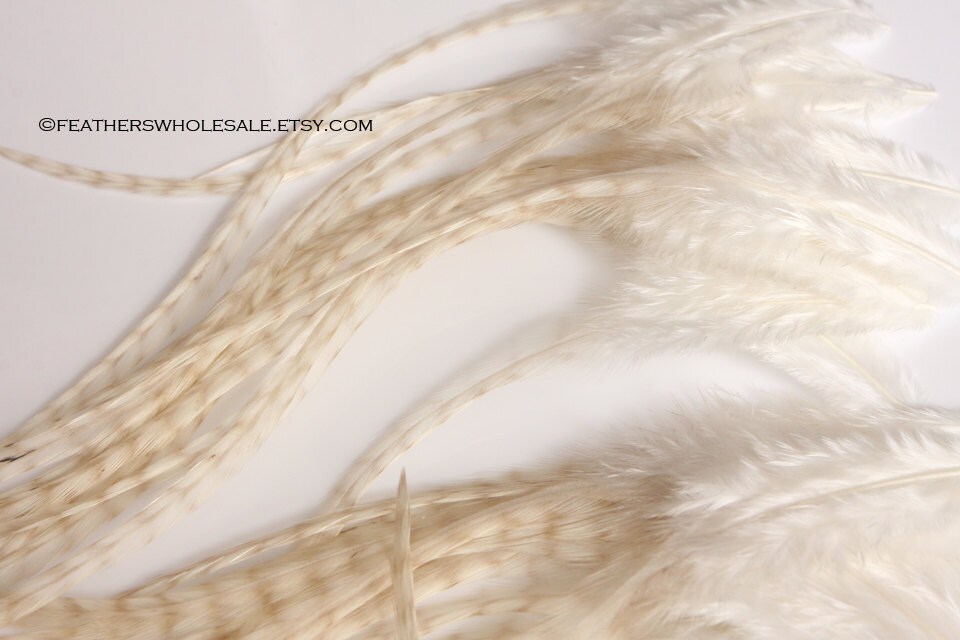 where can i buy white feathers in bulk