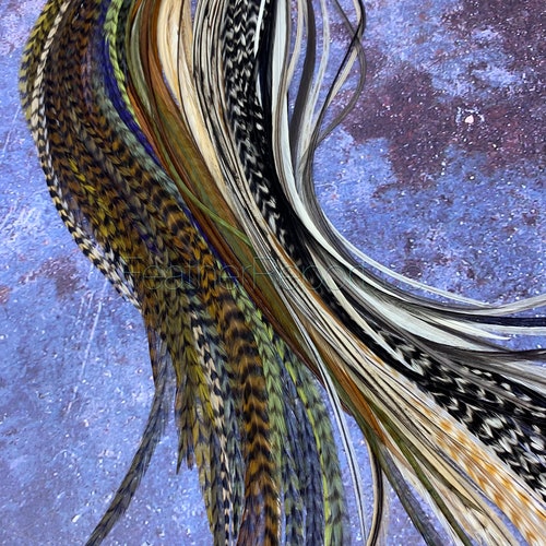 Bulk Feather Extensions 100 Hair Feathers Wholesale Natural Real Rooster shops Feathers Grizzly White Dunn Gray Black 8-14inch or XXL