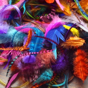 Craft Feathers Mix Bulk Rooster Saddle Feathers for Crafts Earrings Haberdashery Hair Accessories Real Feather Craft Supplies Hackle