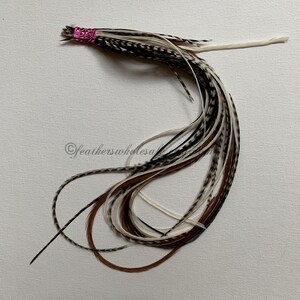Puede incluir: Un manojo de plumas marrones, blancas y negras con un lazo de plumas rosa. Las plumas est&aacute;n atadas en la parte superior y se extienden en la parte inferior.