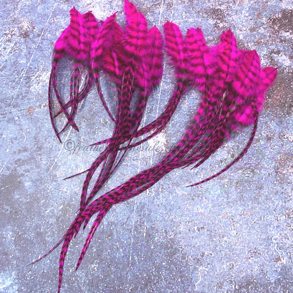 Fuchsia Grizzly Craft Feathers Fluorescent Pink Striped Rooster Plumes - 24pcs