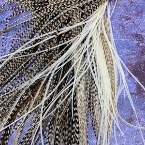 Natural Craft Feathers Bulk Earring Feathers for Earrings Fly Tying Feathers Patterned Thin Craft Feathers Feather Extensions 25 Per Pack