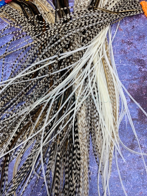 Natural Craft Feathers Bulk Earring Feathers for Earrings Fly Tying  Feathers Patterned Thin Craft Feathers Feather Extensions 25 per Pack 