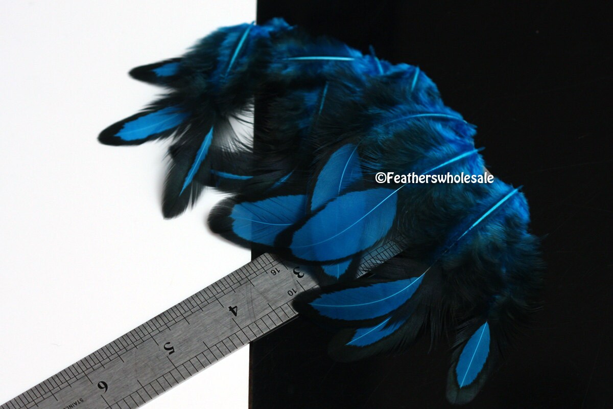 Small Blue Feathers Blue Laced Feather Crafting Plumes Blue Etsy