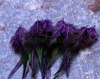 Violet Craft Feathers Purple Laced Rooster Saddle Feathers for Crafts  Decorating Purple Feathers for Earrings 12 per Pack 