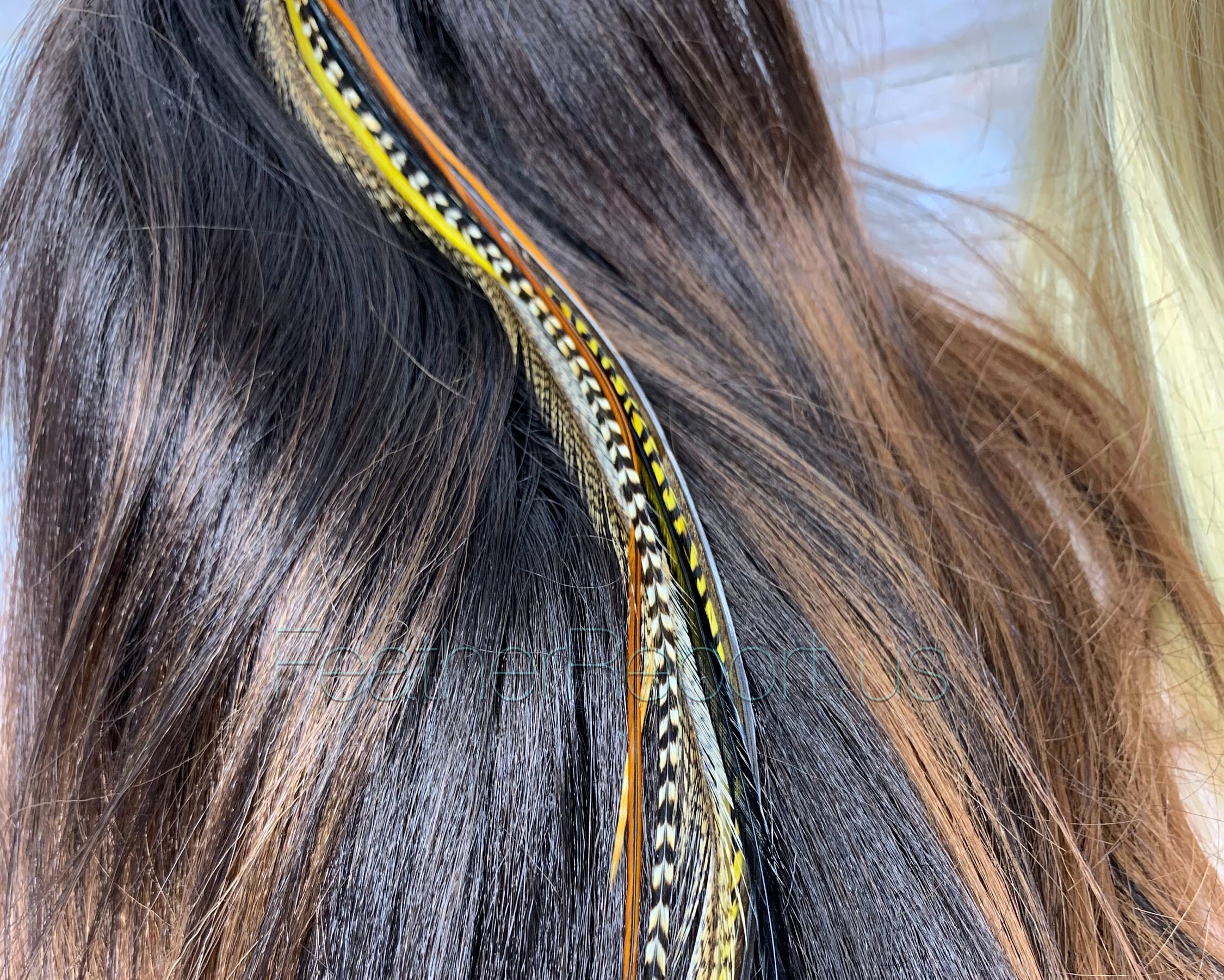 Boho Hair Accessories 10 Feather Hair Extensions Turquoise Blue