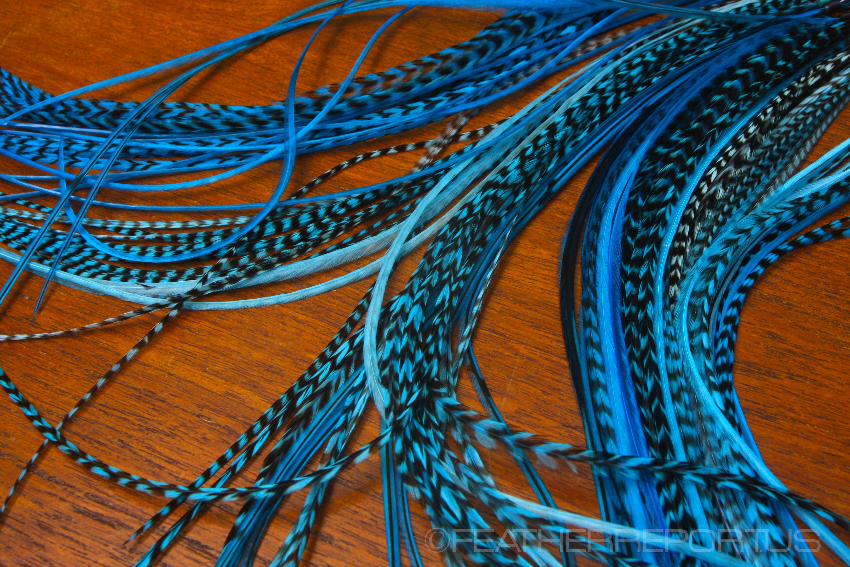 Aqua Turquoise Feather Hair Extensions 10 Long Hair Feathers Etsy