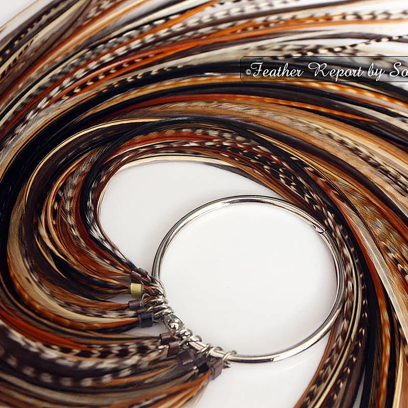 Bird Feather Extensions - Etsy