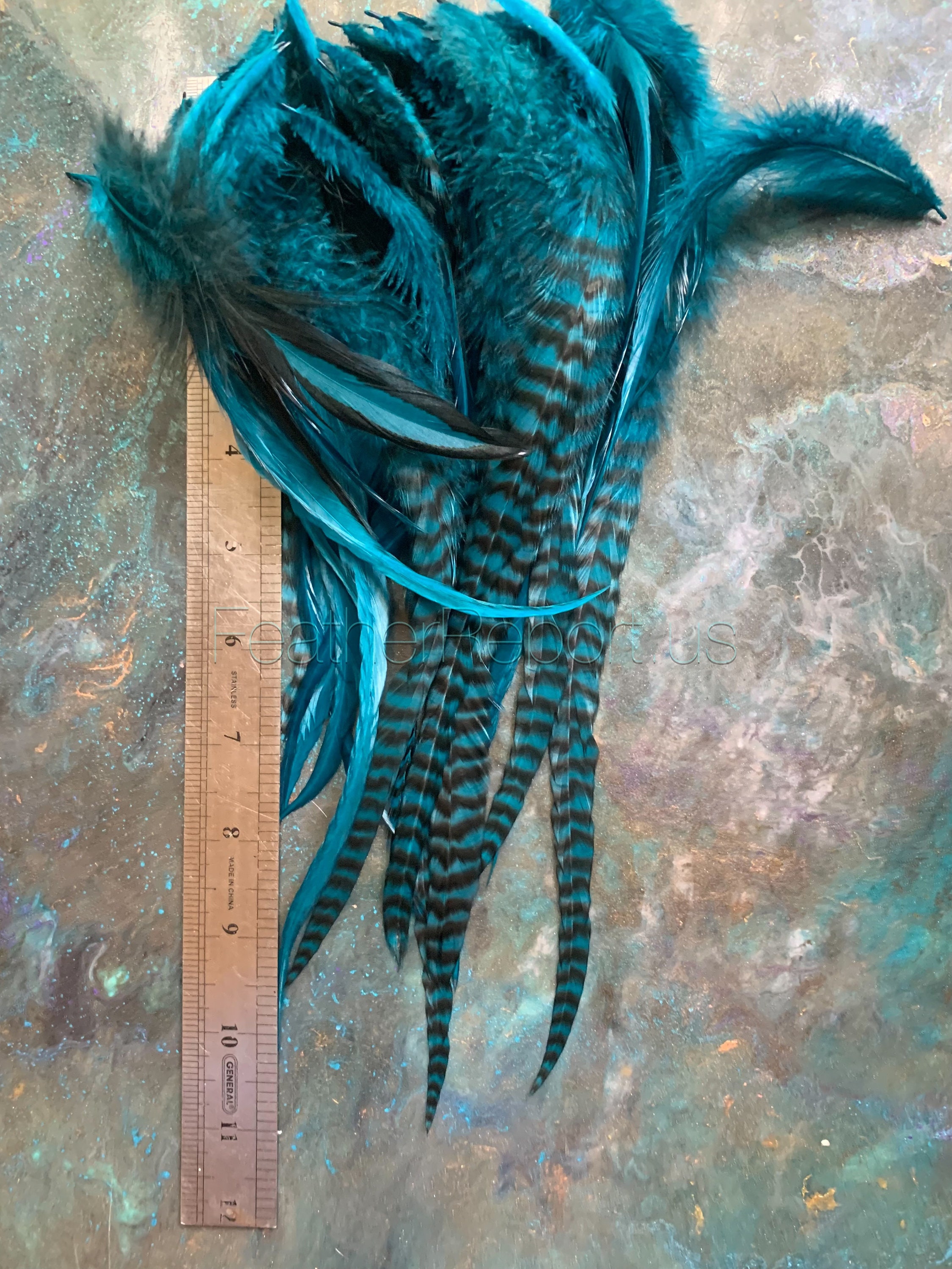 Bulk Feathers for Crafts Teal Green Blue Craft Feathers for Pet Accessories  Fishing Mobiles Haberdashery Embellishments 50 Pcs 
