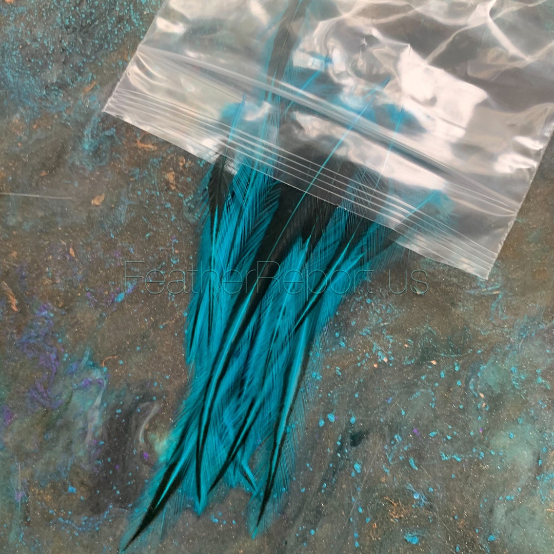 Pequeñas plumas turquesas para artesanías Micro plumas artesanales ...