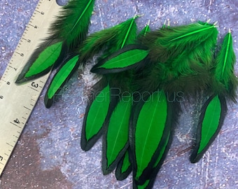 Dyed Green Craft Feathers Grass Green Hen Saddle Laced Green Black Feathers for Crafts Christmas Supplies Party Decorations 12PCS