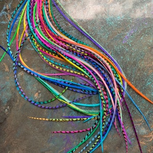Thin Rooster Saddle Hackle Dyed Colors Narrow Thin Sizes Colorful Grizzly and Solid Bulk Feather Extensions for Hair Crafts Fishing 50 PCS