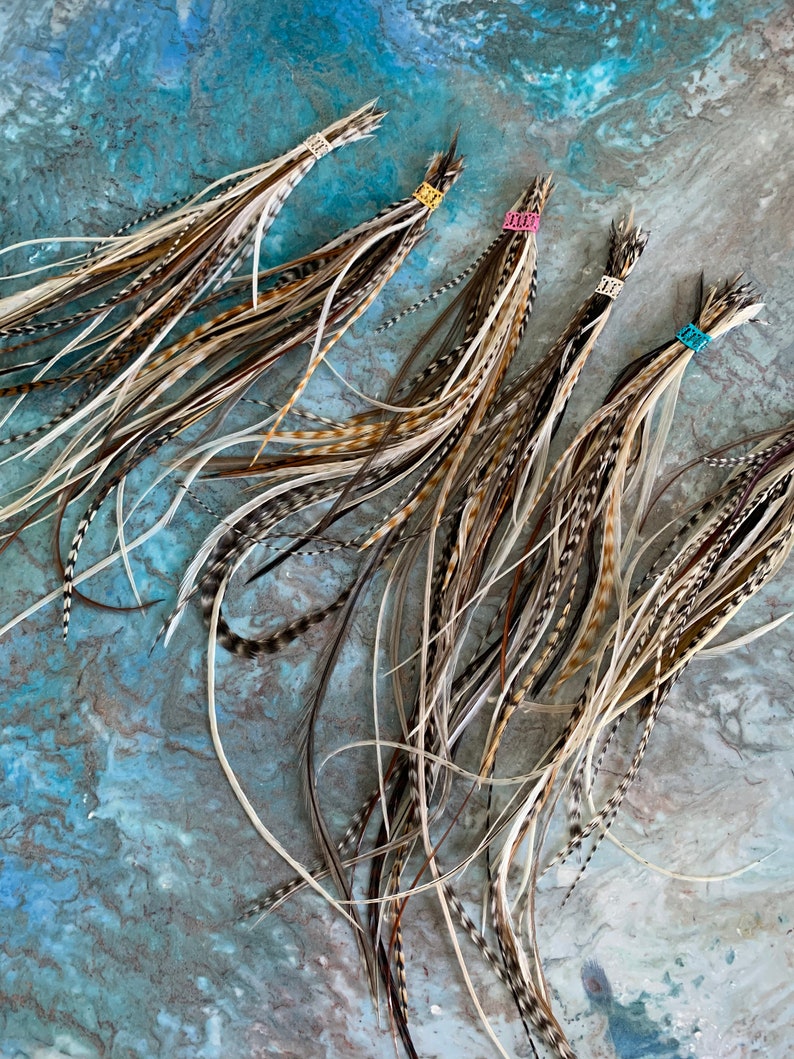 Puede incluir: Cinco manojos de plumas marrones y blancas con cuentas doradas y de colores en la parte superior. Las plumas est&aacute;n dispuestas en forma de abanico sobre un fondo texturizado azul y blanco.