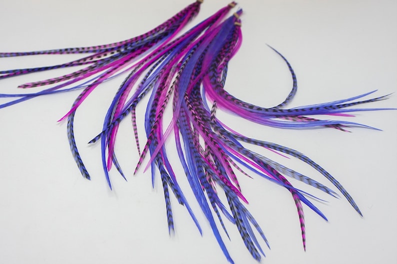 May include: A bunch of long, colorful feathers with black markings. The feathers are in shades of pink, purple, and blue.