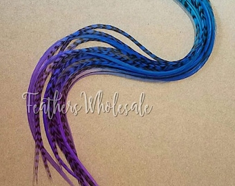 Xl Hair Feathers Turquoise Blue Purple Feather Extensions Extra Long Feathers 10 Real Feathers 11to14 Rainbow Grizzly Solid Plume Cheveux