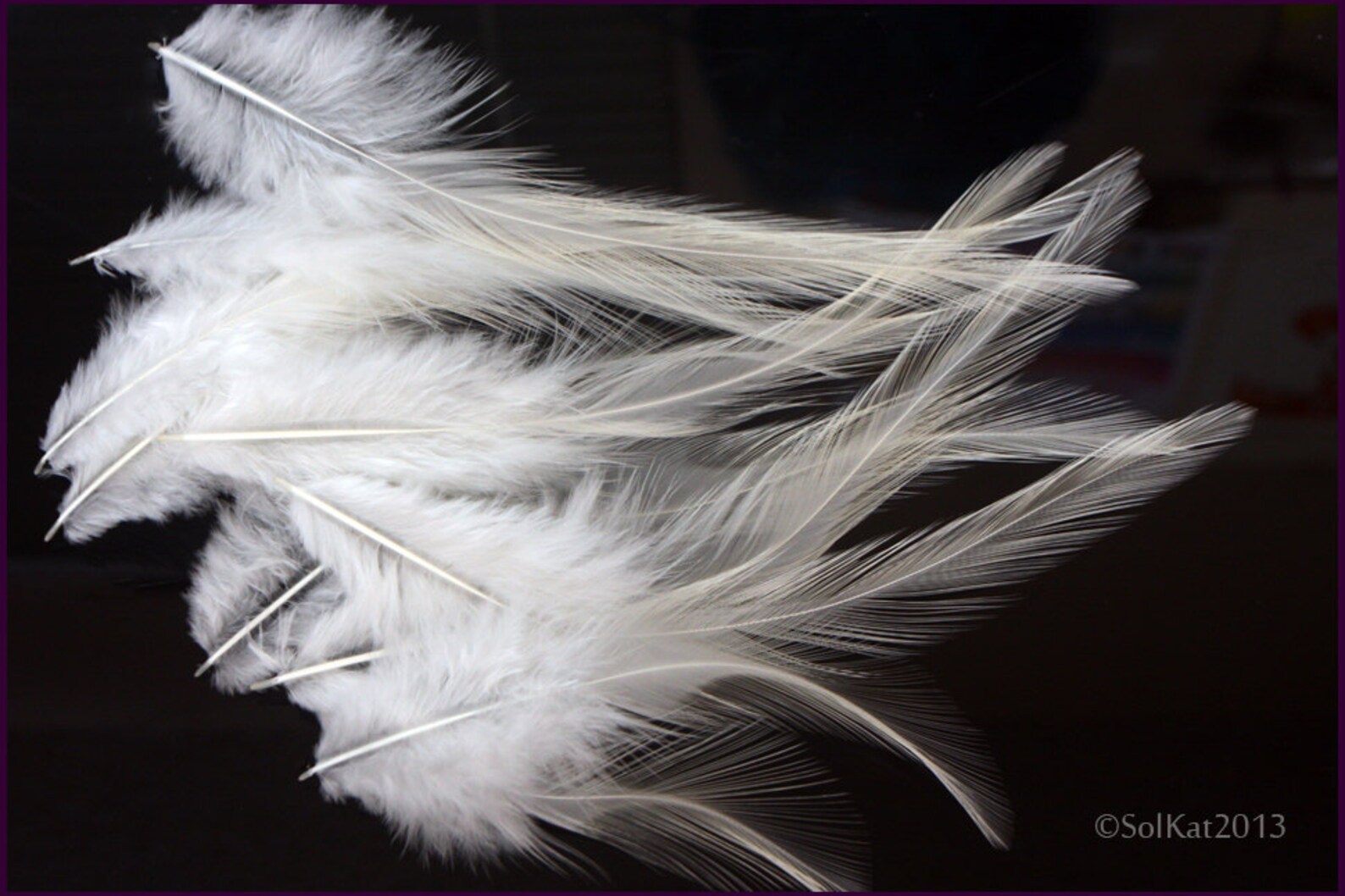 White Feathers diy Wedding Accessories Cream White Craft Etsy