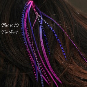 hot purple hot pink ombre real hair feather extensions bundles of 10 9 to 12 inch grizzly and solid feather boho hair accessories