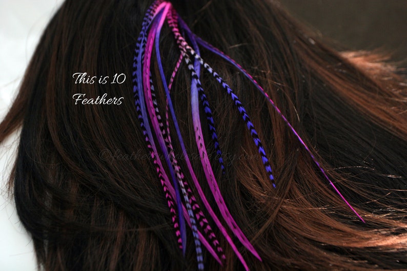 hot purple hot pink ombre real hair feather extensions bundles of 10 9 to 12 inch grizzly and solid feather boho hair accessories