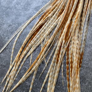 Ginger Grizzly Natural Rooster Feathers DIY Hair Feathers Hippie Hair Accessories Natural Feathers for Hair and Crafting 10pcs