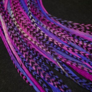 May include: A bundle of long, colorful feathers in shades of pink, purple, and blue. The feathers have a black chevron pattern and are arranged in a fan shape.