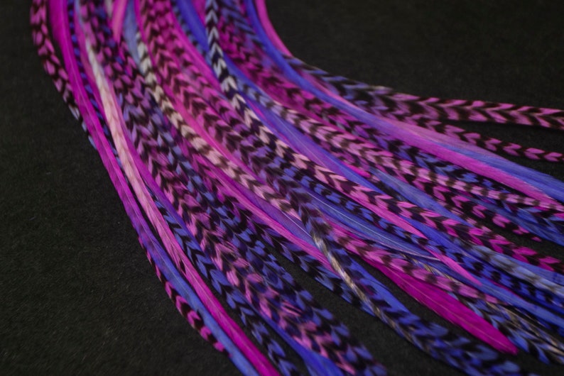 May include: A bundle of long, colorful feathers in shades of pink, purple, and blue. The feathers have a black chevron pattern and are arranged in a fan shape.