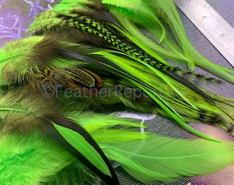 Kelly Green Bulk Feathers for Crafts CDL American Pheasant Rooster Chicken Feathers Arts and Crafts Feathers Fly Tying Variety Pack of 50