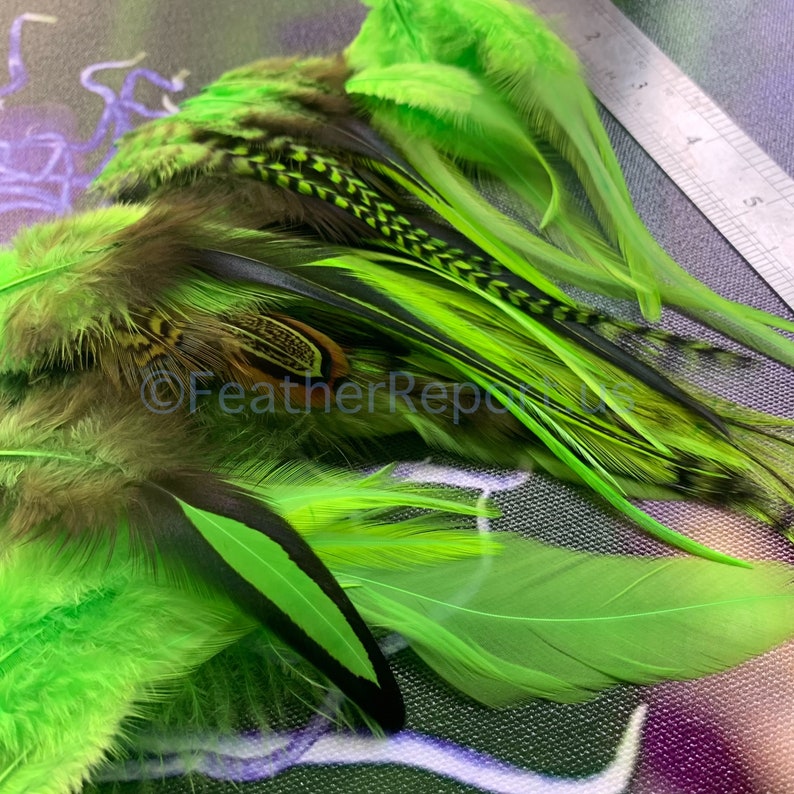 Kelly Green Bulk Feathers for Crafts CDL American Pheasant Rooster Chicken Feathers Arts and Crafts Feathers Fly Tying Variety Pack of 50 image 1