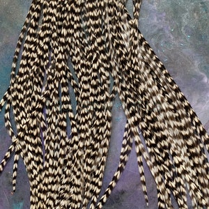 May include: Close-up of a collection of brown and white speckled feathers. The feathers are long and slender, with a pattern of alternating dark and light sections. The feathers are likely used for crafting or fly tying.