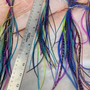 Puede incluir: Tres paquetes de plumas coloridas atadas con cuerda. Las plumas son de diferentes longitudes y colores, incluyendo azul, verde, morado, rosa y amarillo. Una regla est&aacute; en el fondo para la escala.