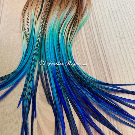 Bulk Feather Extensions Ombre Brown Blue Aqua Long Hair Feathers Wholesale  Price Salon Accessories for Hair 50 Rooster Feathers 